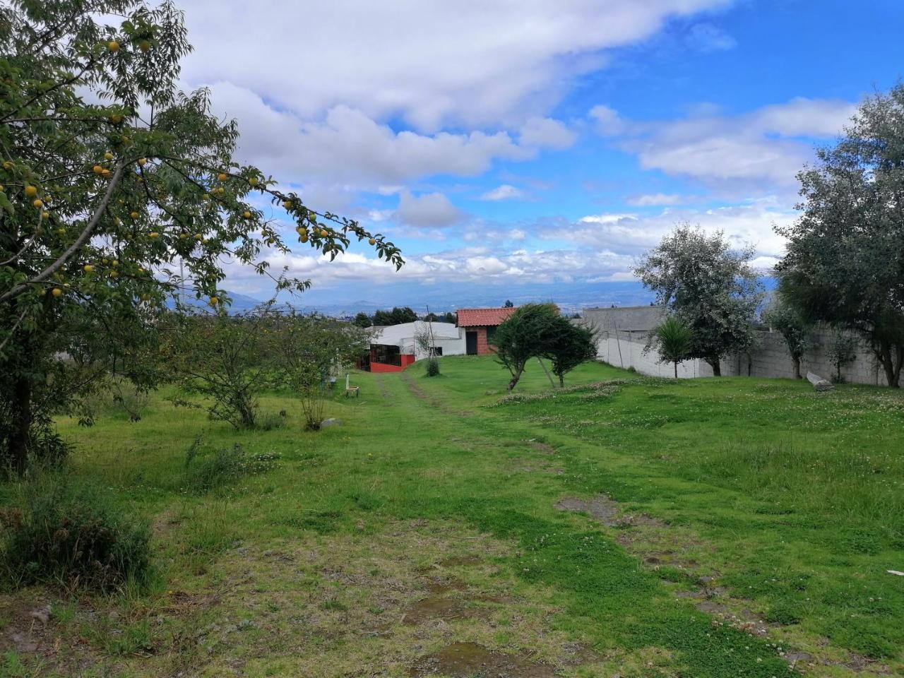 Hosteria El Tisaleno Ambato Bagian luar foto